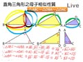 §911-9113　相似三角形